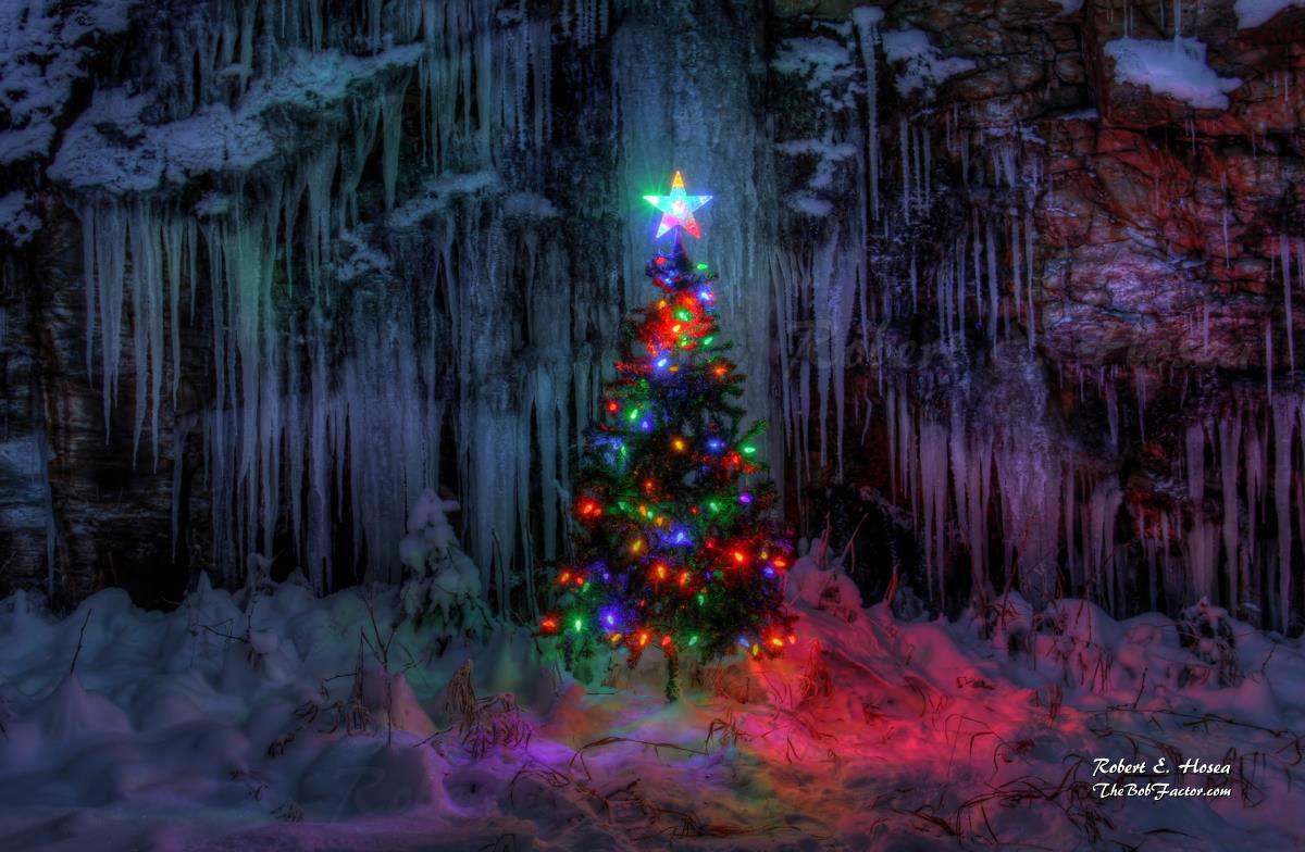 Christmas spirit
